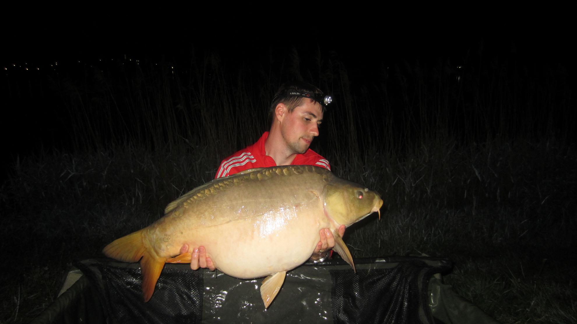 Harsany 1 - 5 mai. - img2608.JPG